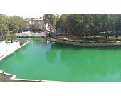 IMAG0100_1.jpg